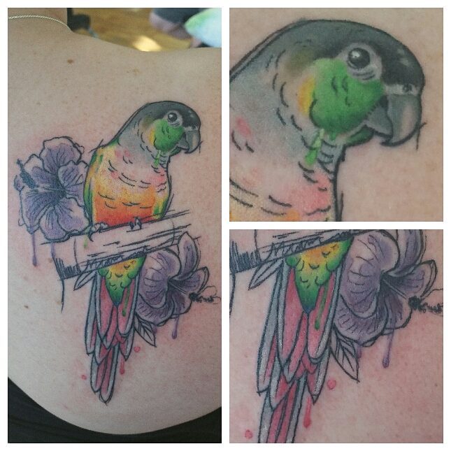 Red Baron Ink Tattoo  Had a blast starting this rad Sun Conure and Peony